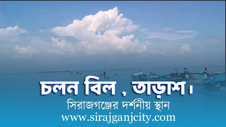 চলন বিলের ইতিহাস